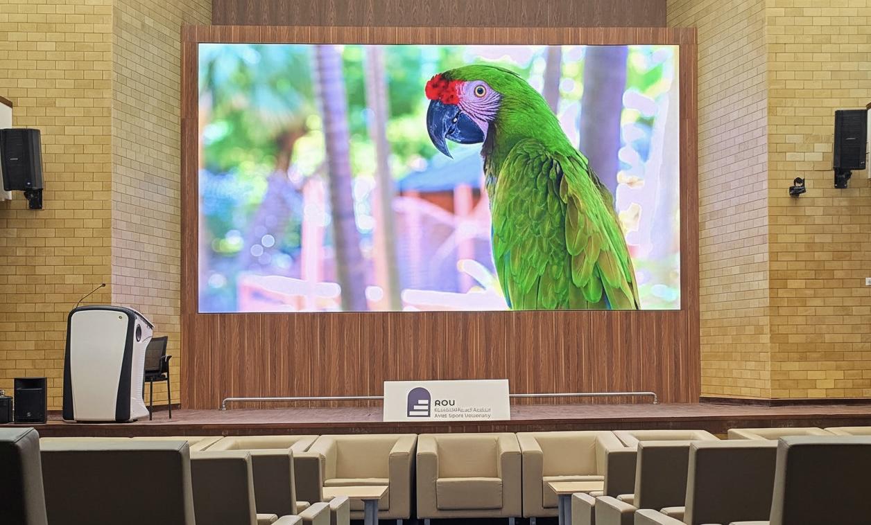 AV Systems (Audio - Video)